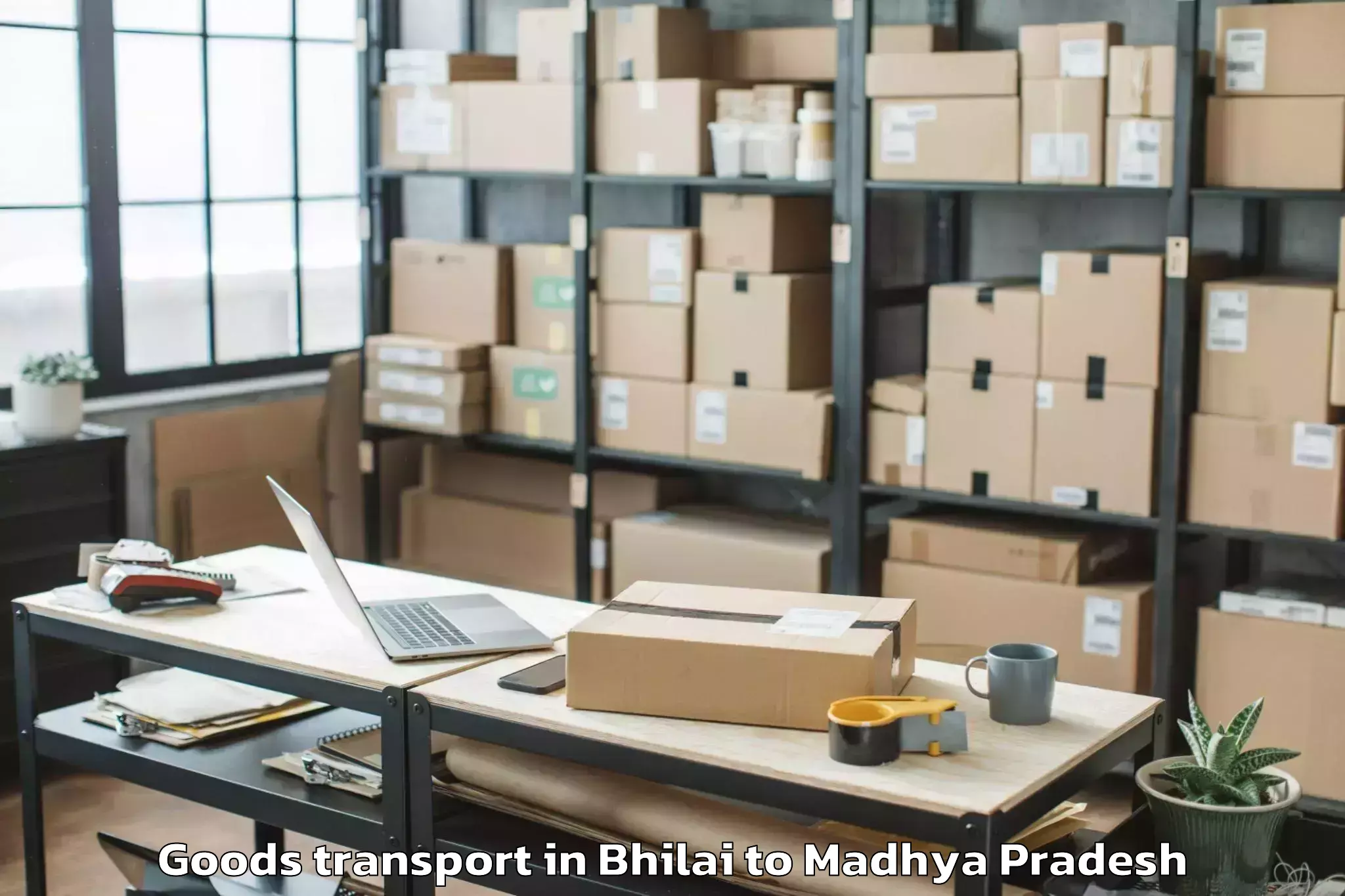 Easy Bhilai to Mehgaon Goods Transport Booking